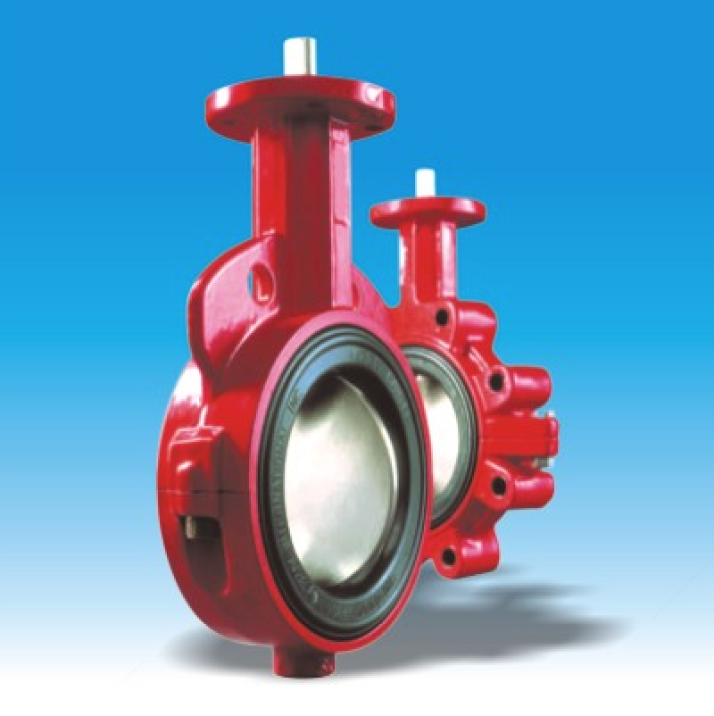 衬胶阀座蝶阀◎系列20/21 - 杭州荣盛阀门制造有限公司